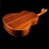 classical-guitar-asturias-model-custom-s-_0006.jpg