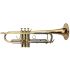 b-trompete-phoenix-advanced-lackiert-gold-_0001.jpg