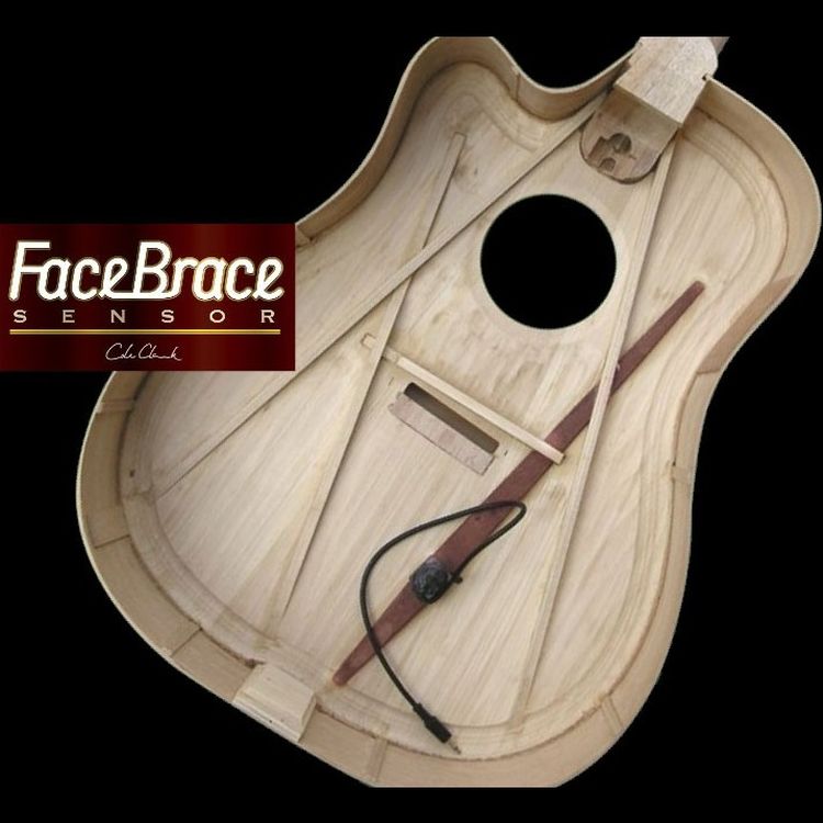 western-guitar-cole-clark-model-fl1ec-bm-cut-eq-_0007.jpg