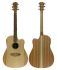 western-guitar-cole-clark-model-fl1ec-bm-cut-eq-_0005.jpg