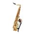 tenor-saxophone-rampone--cazzani-two-voices-raw-un_0001.jpg