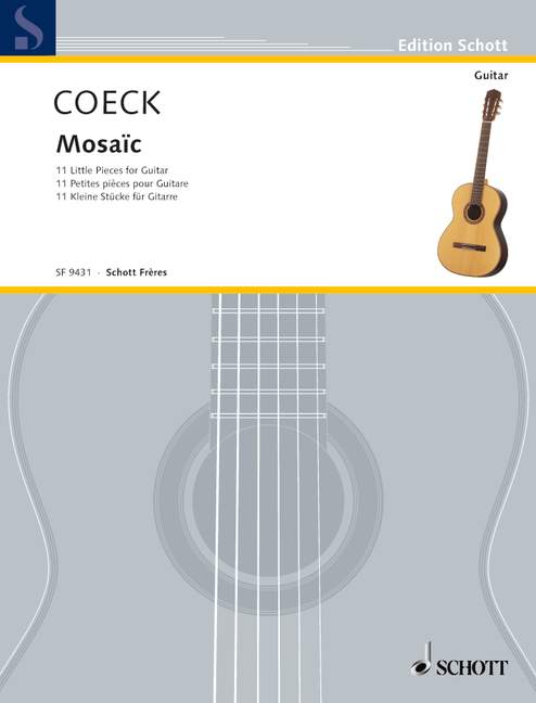 armand-coeck-mosaic-gtr-_0001.JPG