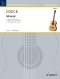 armand-coeck-mosaic-gtr-_0001.JPG
