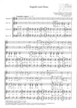 vytautas-miskinis-angelis-suis-deus-gch-_0001.JPG