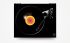 tourne-disque-rega-modele-planar-3--nd3-mm-cartrid_0001.jpg