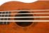 bass-ukulele-flight-model-dubs-_0004.jpg