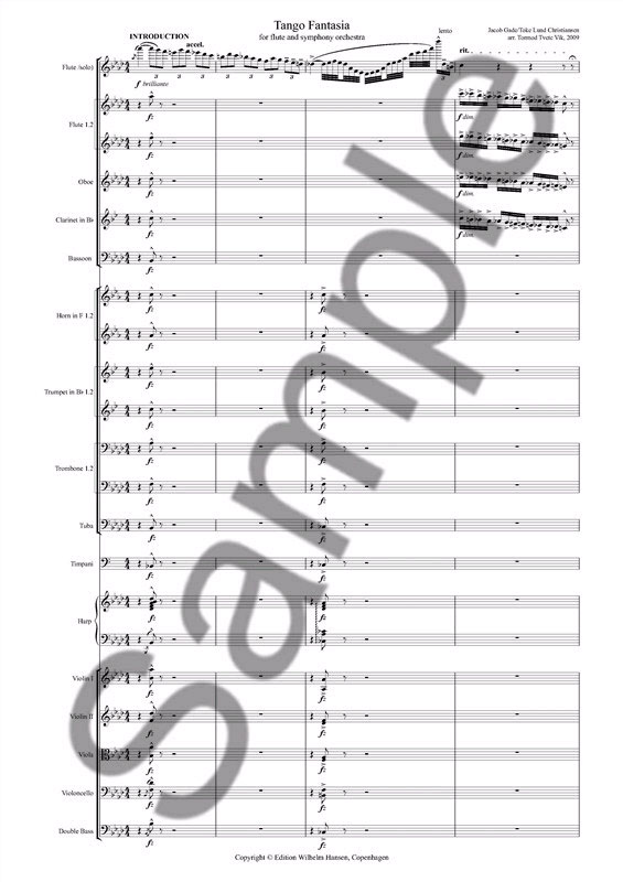 jacob-gade-tango-fantasia-fl-orch-_pst-cplt_-_0006.JPG