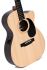 guitare-folk-sigma-modele-000-tce-_0003.jpg