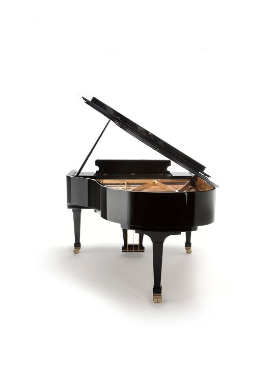 piano-a-queue-fazioli-modele-f-183-noir-poli-laito_0004.jpg