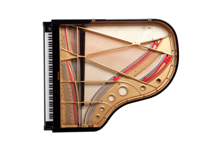 piano-a-queue-fazioli-modele-f-183-noir-poli-laito_0005.jpg