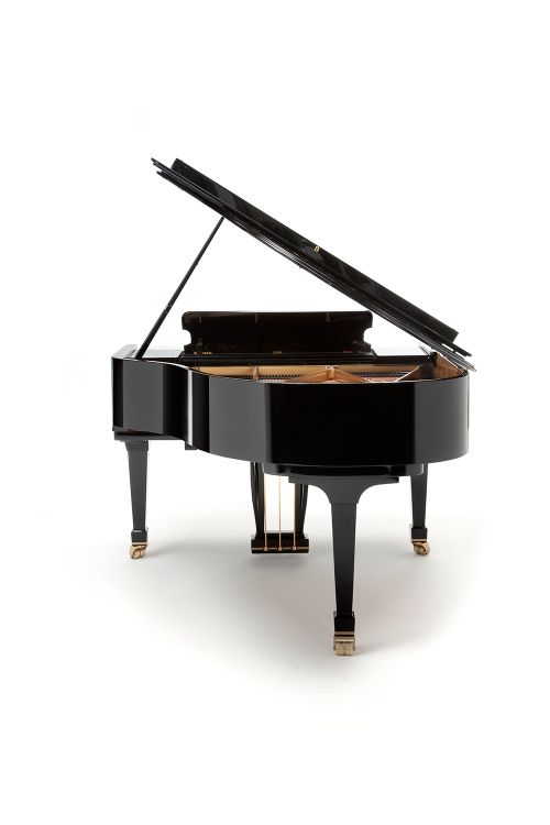 piano-a-queue-fazioli-modele-f-156-noir-poli-laito_0002.jpg