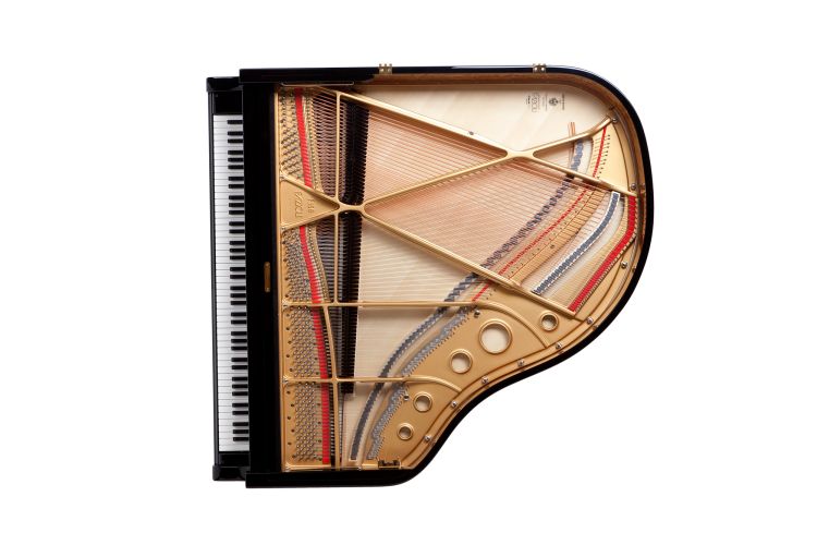 piano-a-queue-fazioli-modele-f-156-noir-poli-laito_0005.jpg
