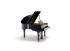 piano-a-queue-fazioli-modele-f-156-noir-poli-laito_0003.jpg