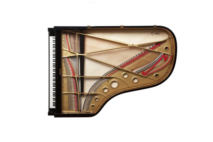 piano-a-queue-fazioli-modele-f-212-noir-poli-laito_0005.jpg