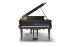 piano-a-queue-fazioli-modele-f-212-noir-poli-laito_0003.jpg