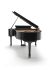 piano-a-queue-fazioli-modele-f-212-noir-poli-laito_0004.jpg