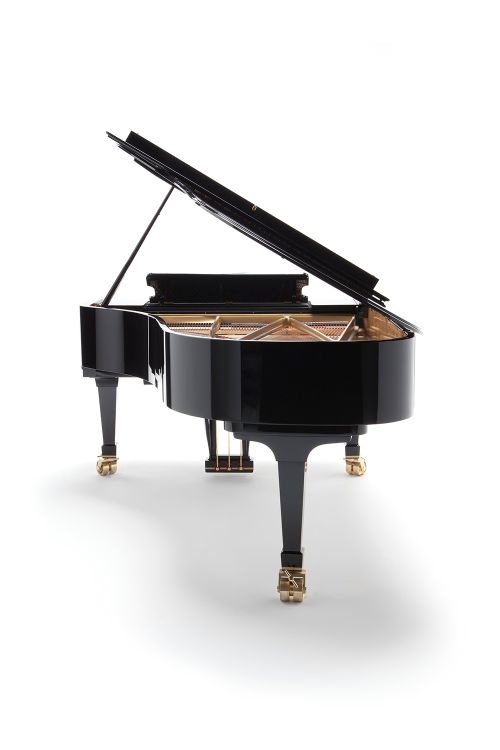 piano-a-queue-fazioli-modele-f-228-noir-poli-laito_0002.jpg