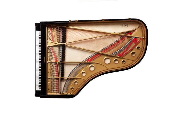 piano-a-queue-fazioli-modele-f-228-noir-poli-laito_0005.jpg
