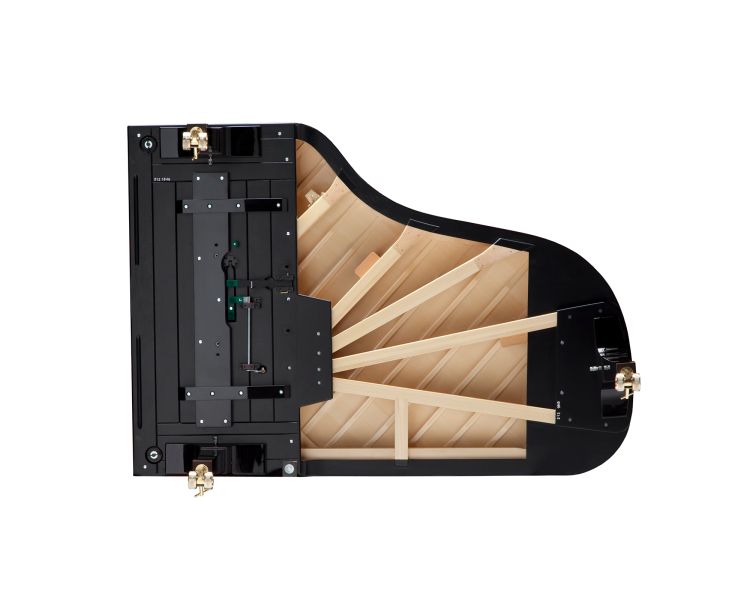 piano-a-queue-fazioli-modele-f-228-noir-poli-laito_0006.jpg