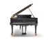 piano-a-queue-fazioli-modele-f-228-noir-poli-laito_0003.jpg