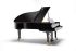 piano-a-queue-fazioli-modele-f-228-noir-poli-laito_0004.jpg