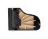 piano-a-queue-fazioli-modele-f-228-noir-poli-laito_0006.jpg