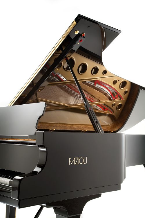 piano-a-queue-fazioli-modele-f-308-noir-poli-laito_0003.jpg