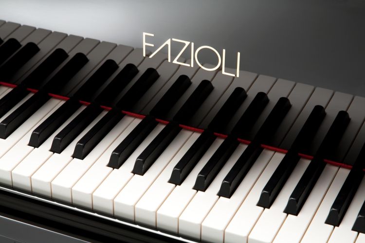 piano-a-queue-fazioli-modele-f-308-noir-poli-laito_0004.jpg