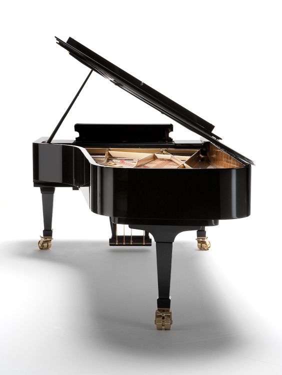 piano-a-queue-fazioli-modele-f-308-noir-poli-laito_0005.jpg