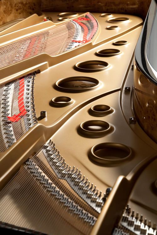 piano-a-queue-fazioli-modele-f-308-noir-poli-laito_0007.jpg