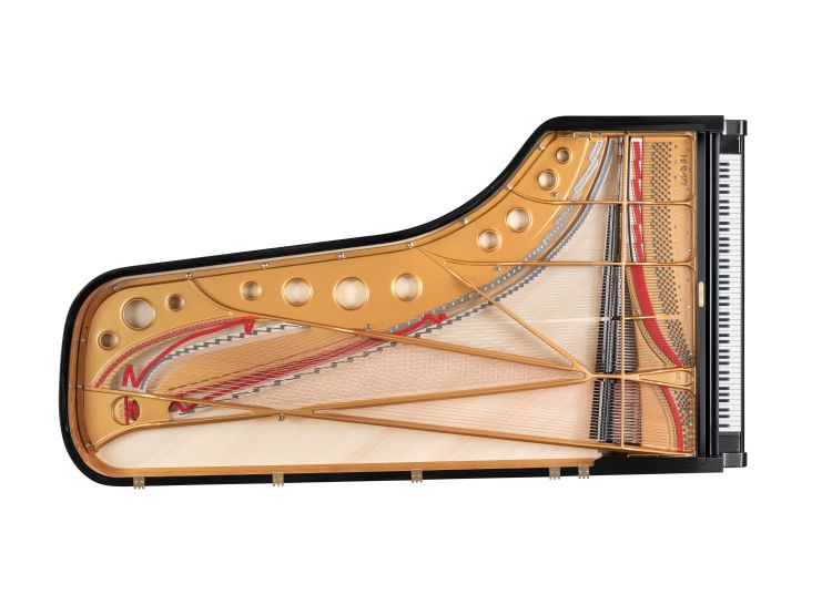 piano-a-queue-fazioli-modele-f-308-noir-poli-laito_0008.jpg