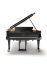 piano-a-queue-fazioli-modele-f-308-noir-poli-laito_0002.jpg