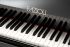piano-a-queue-fazioli-modele-f-308-noir-poli-laito_0004.jpg