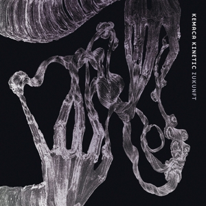 zukunft-kemaca-kinetic-berthold-records-cd-_0001.JPG
