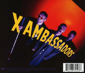 the-beautiful-liar-x-ambassadors-interscope-cd-_0002.JPG