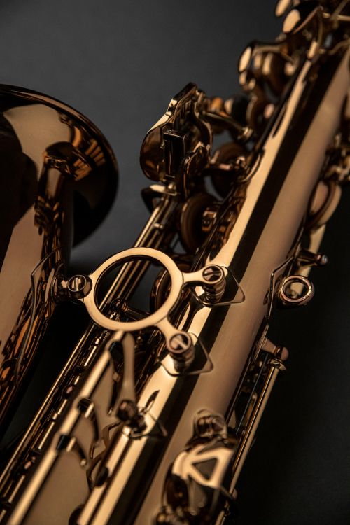 saxophone-alto-rampone--cazzani-rcpasl-performance_0003.jpg