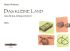 martin-widmaier-das-kleine-land-vol-1-pno-_0001.JPG