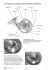 duenser-stopfner-horn-fuchs-vol-1-hr-_notendownloa_0004.jpg