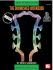bruce-saunders-diminished-workbook-gtrtab-_notendo_0001.jpg