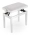 ritter-piano-bench-classic-traditional-series-acce_0003.jpg