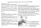 folleto-del-tin-whistle-whistle-_span_-_0006.JPG