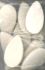 garbani-picks-filz-12-stk-weiss-zubehoer-zu-gitarr_0001.jpg