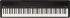 d-piano-roland-model-fp-40-black_0003.jpg
