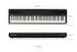 d-piano-roland-model-fp-40-black_0006.jpg