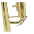 trumpet-in-bb-carol-brass-carnival-lacquered-gold-_0007.jpg