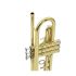 trumpet-in-bb-carol-brass-carnival-lacquered-gold-_0008.jpg