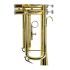 trumpet-in-bb-carol-brass-carnival-lacquered-gold-_0009.jpg