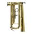 trumpet-in-bb-carol-brass-carnival-lacquered-gold-_0010.jpg