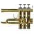 trumpet-in-bb-carol-brass-carnival-lacquered-gold-_0011.jpg
