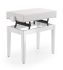 ritter-piano-bench-artista-urban-series-accessorie_0003.jpg